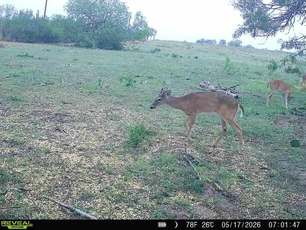 Picture 10