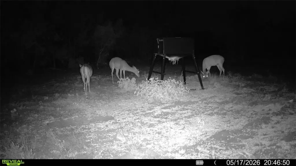Picture 4