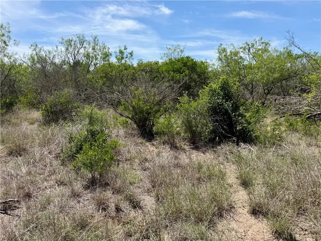 Picture 25
