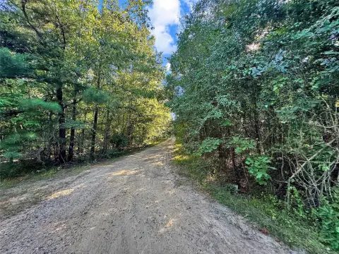 Wooded Hunting Land