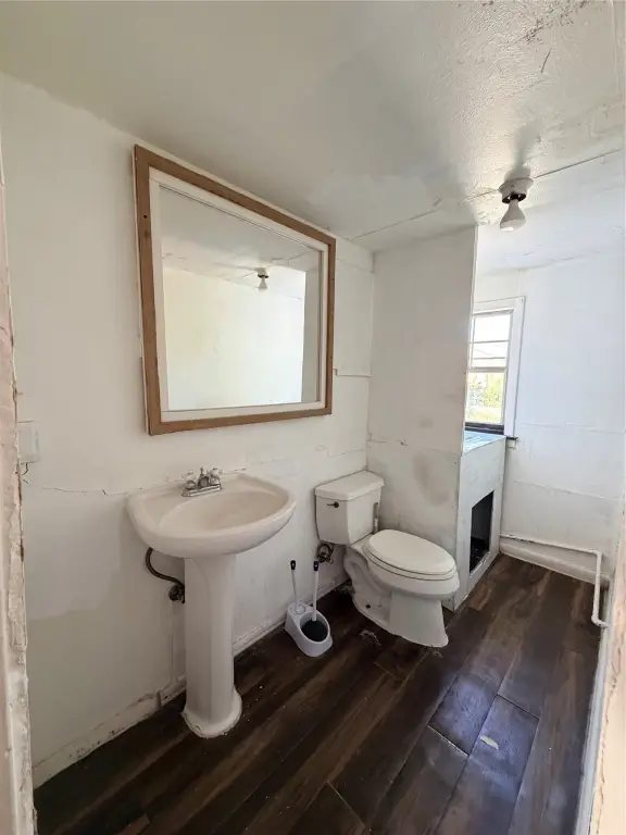 Picture 8