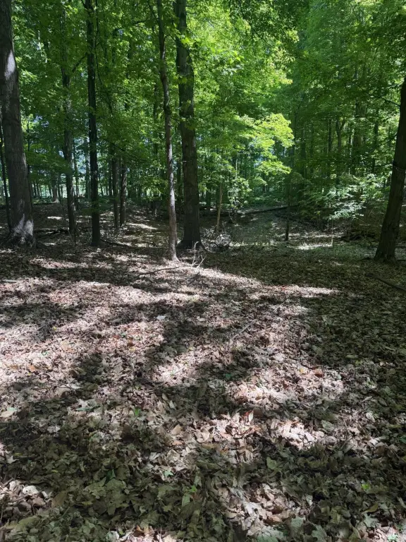 Picture 25