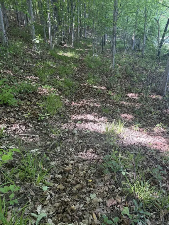 Picture 17