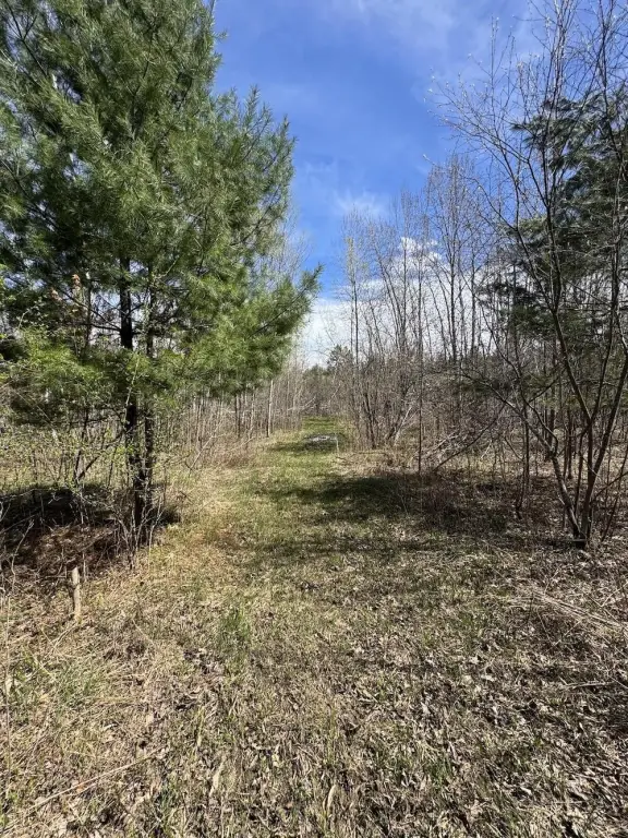 Picture 45