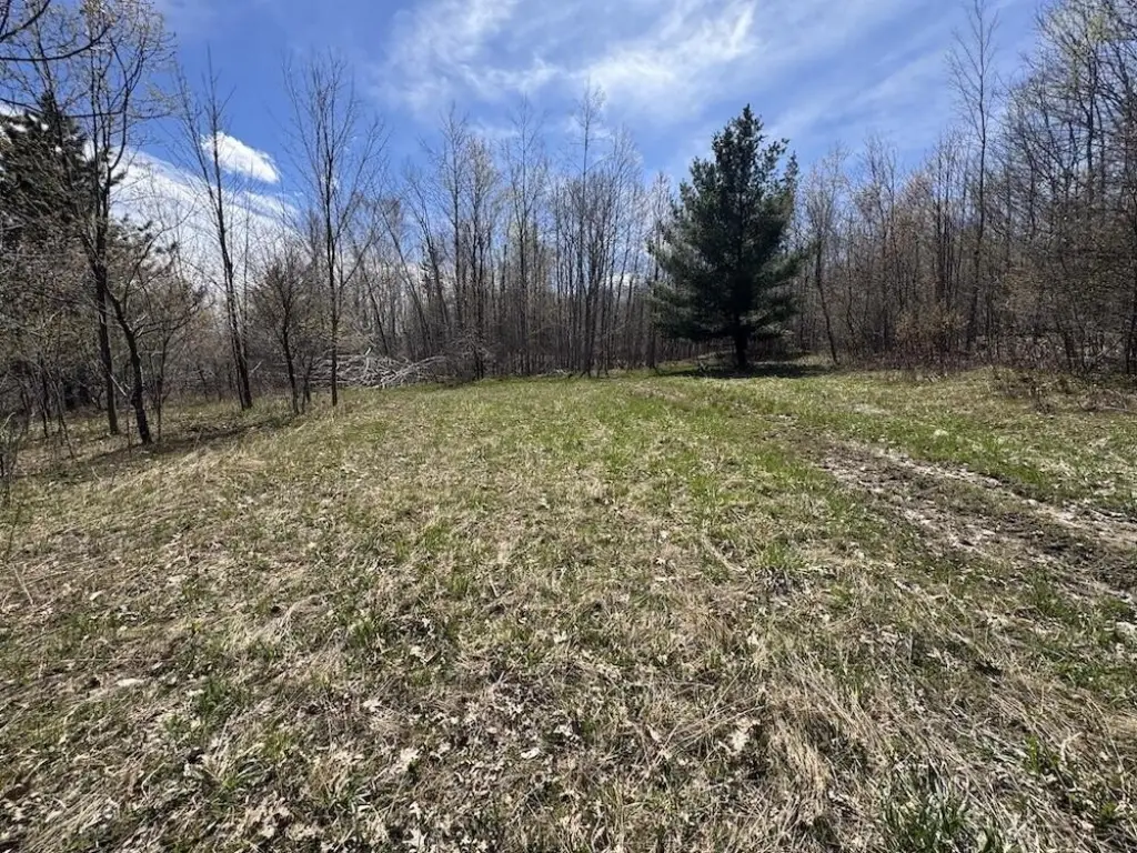 Picture 41