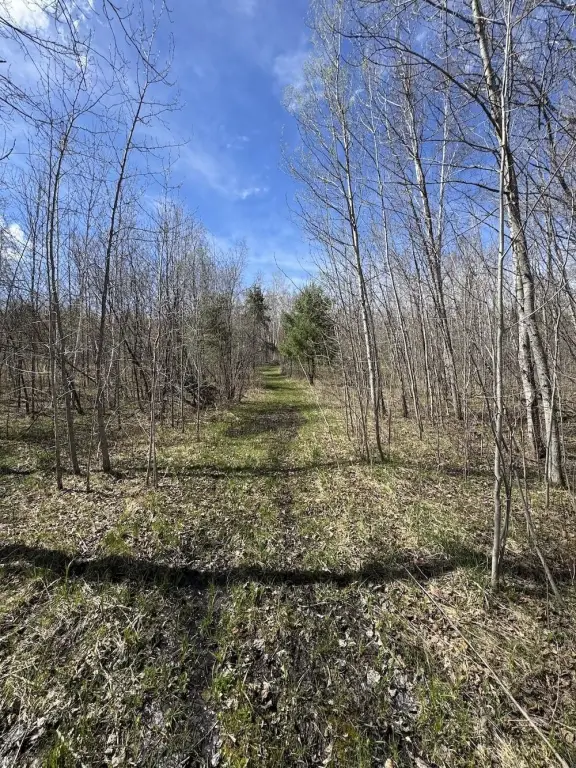 Picture 46