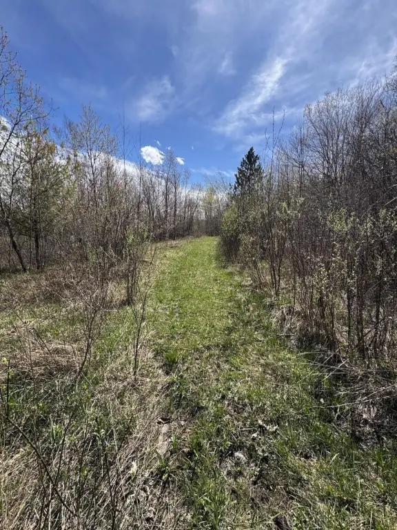 Picture 40
