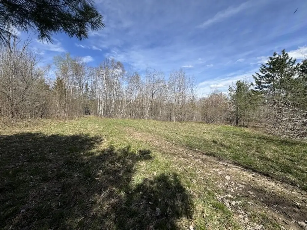 Picture 36
