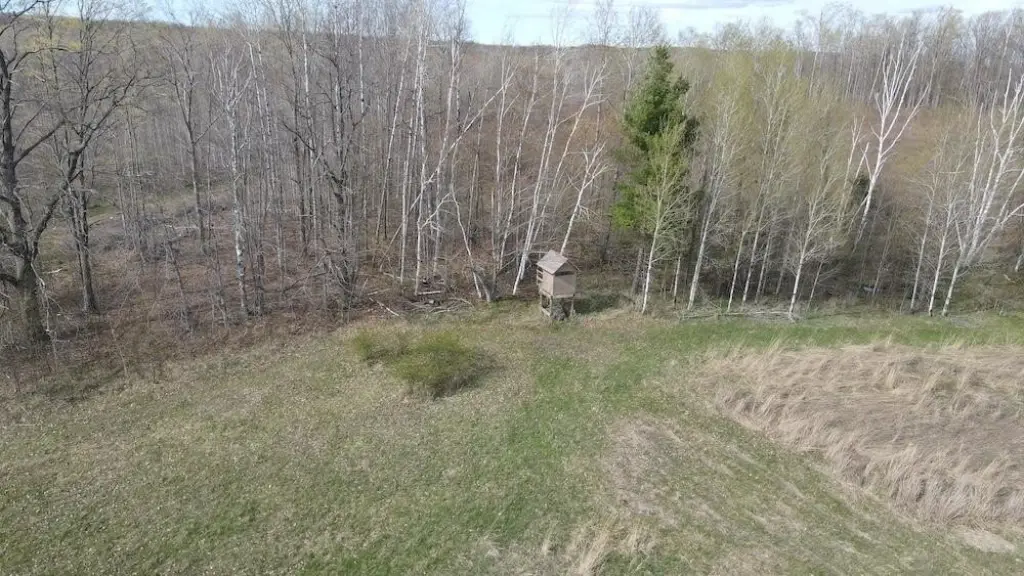Picture 8