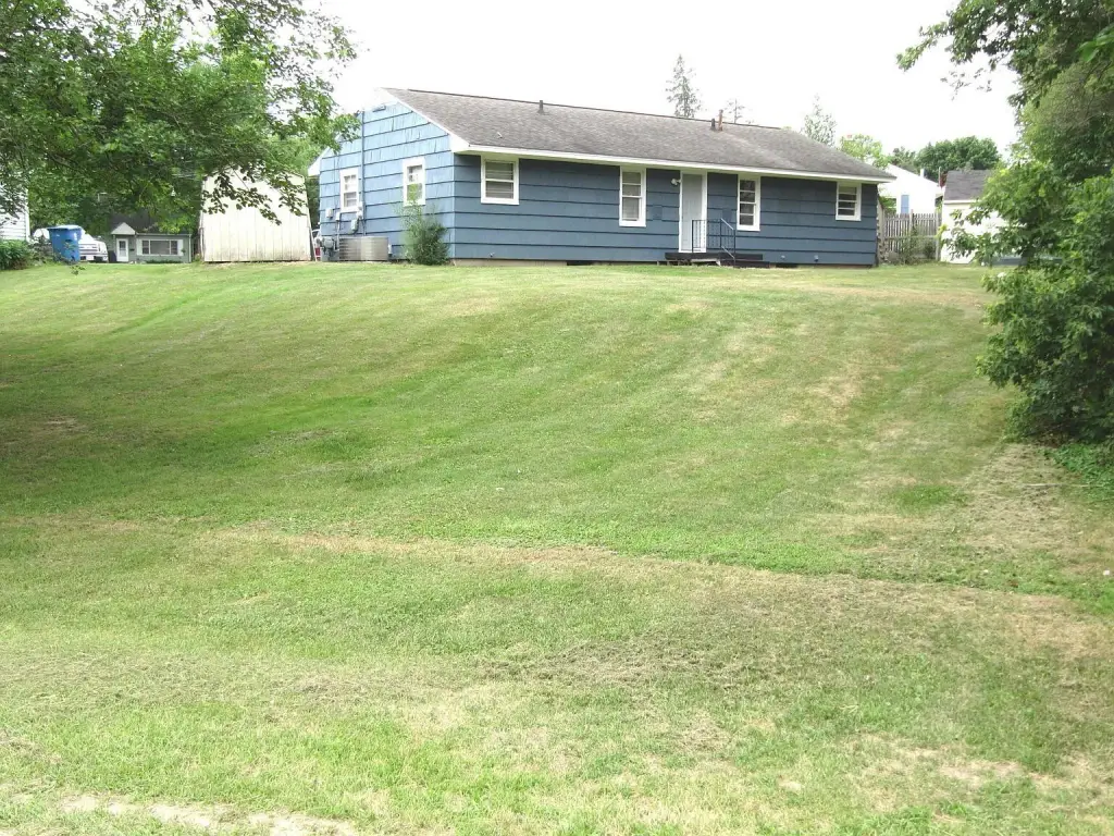 Picture 4