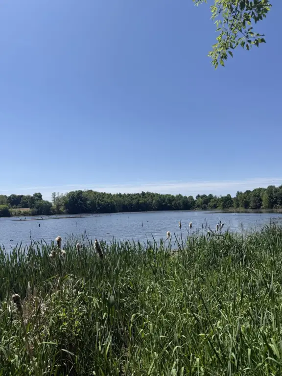 Picture 27