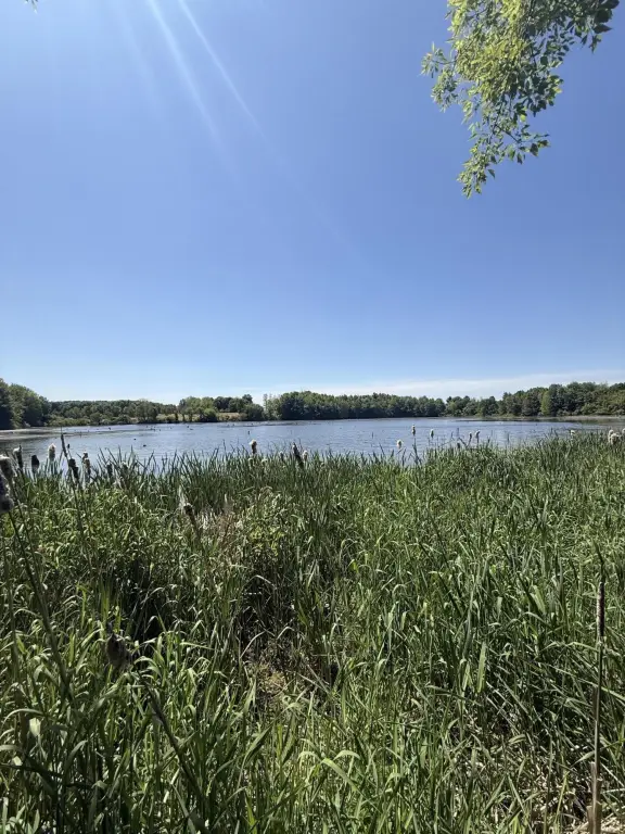 Picture 28