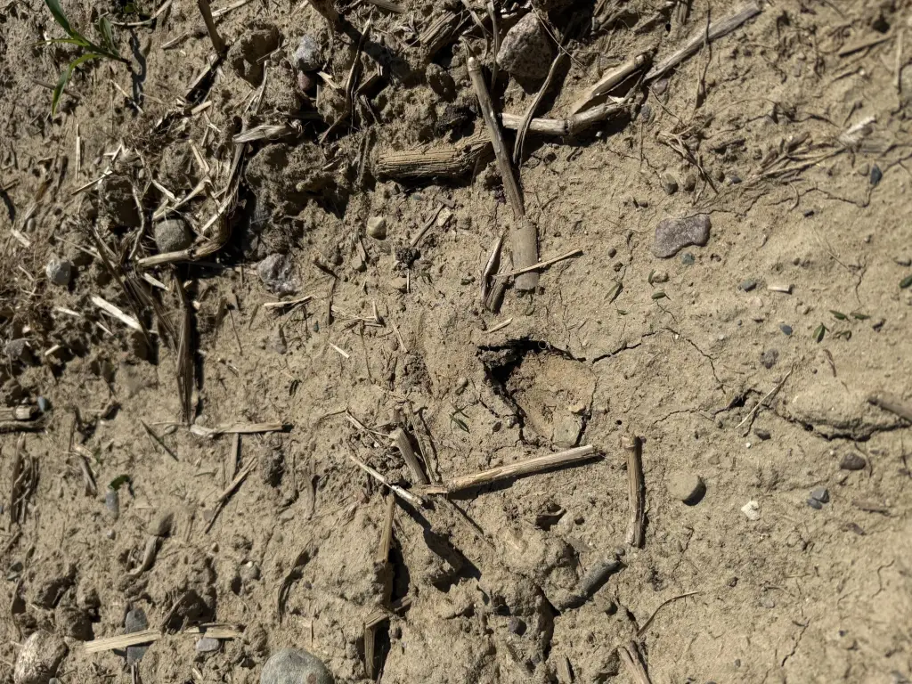 Picture 22