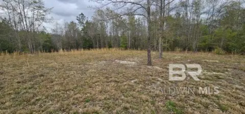 Wooded Land Near Big Escambia Creek