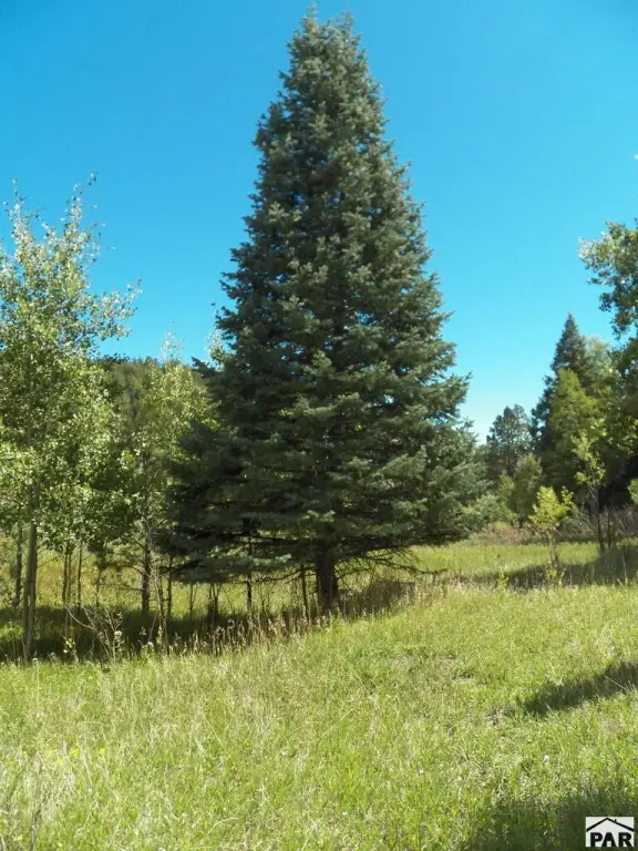 Picture 24