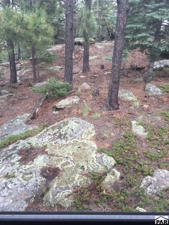 Picture 42