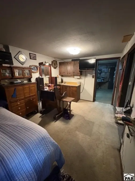 Picture 28