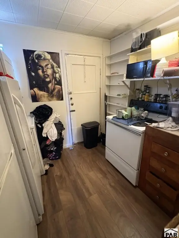 Picture 51