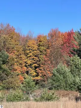 Blue Heron Resort Vacant Land