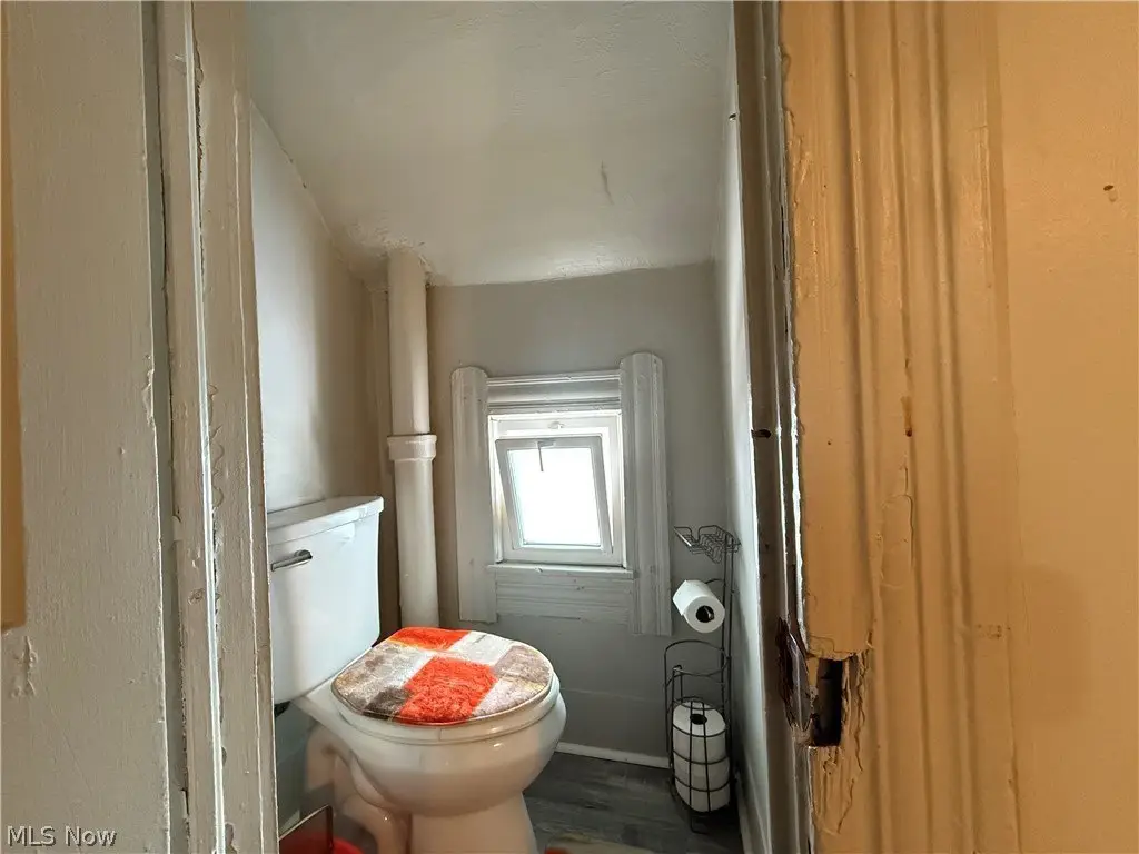 Picture 8