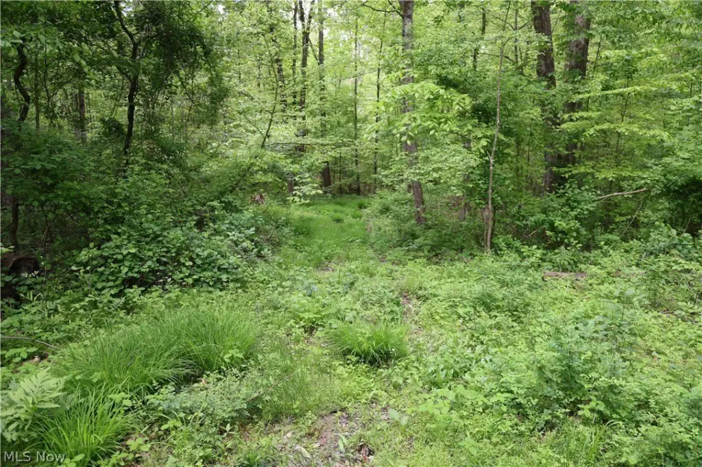 Picture 27