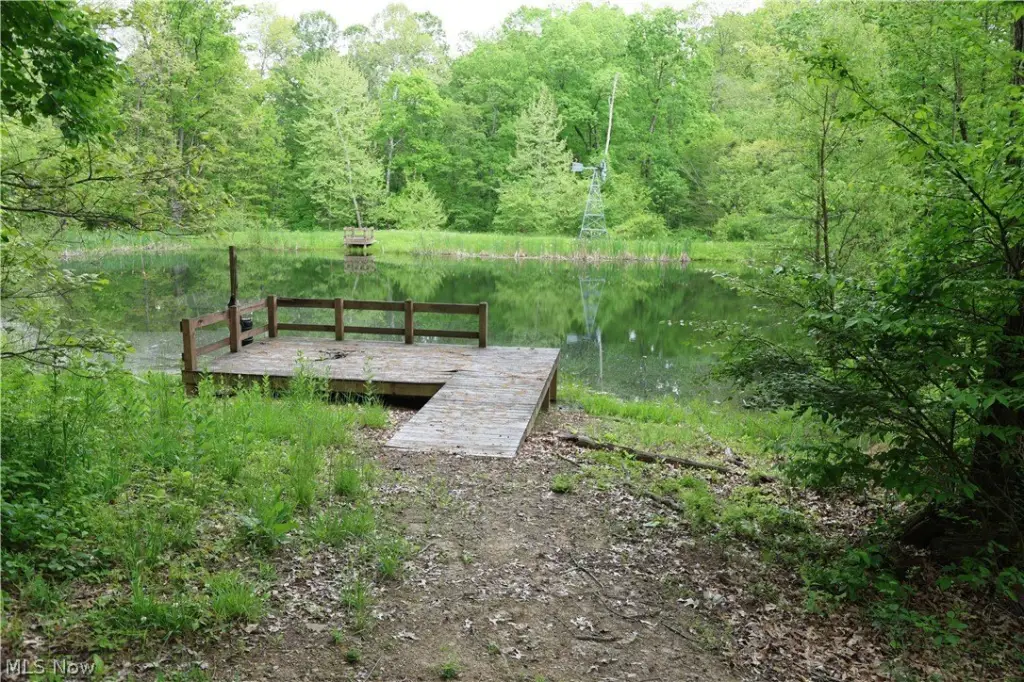 Picture 33