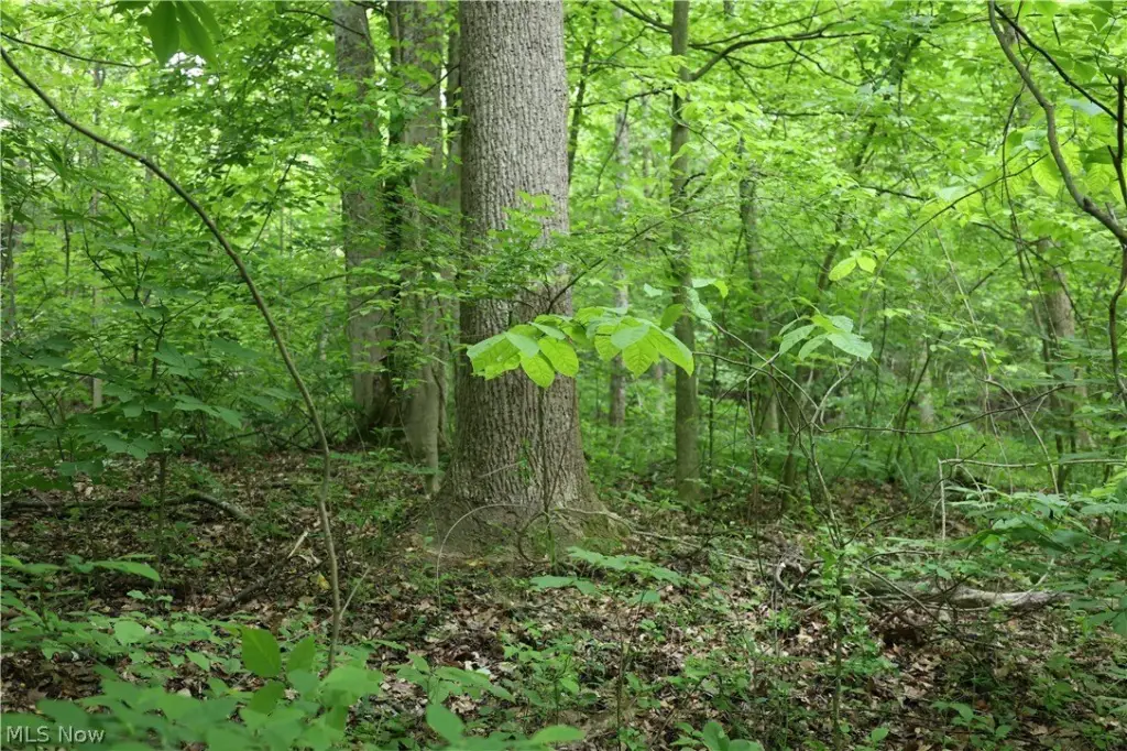 Picture 24