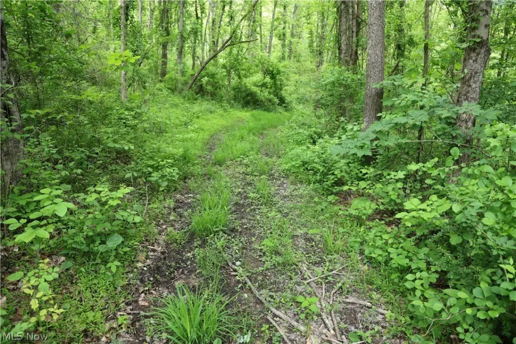 Picture 23
