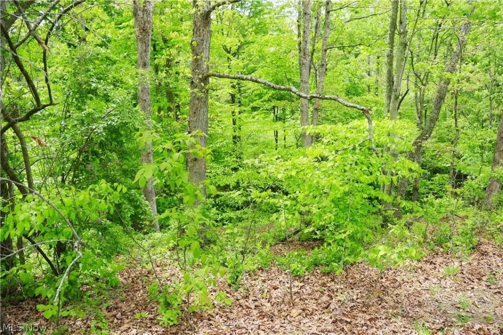 Picture 25