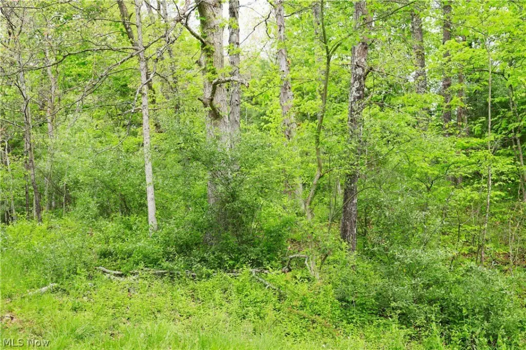 Picture 17