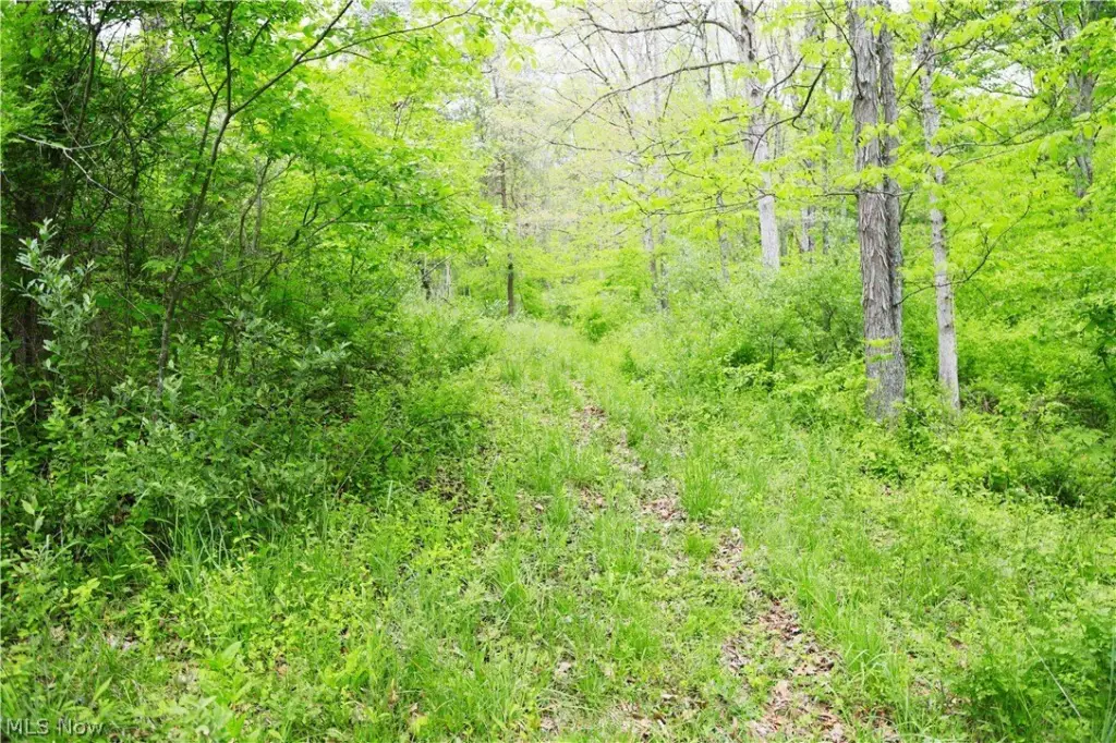 Picture 19