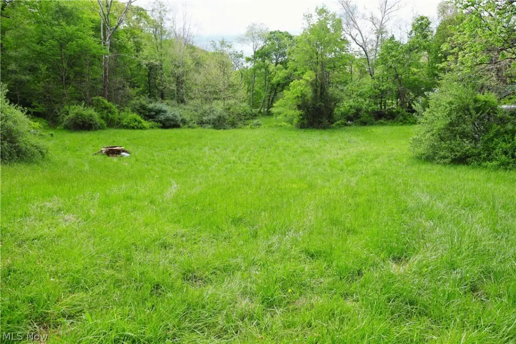 Picture 11