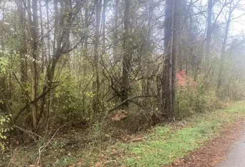 Two Lots Near Lake Cumberland