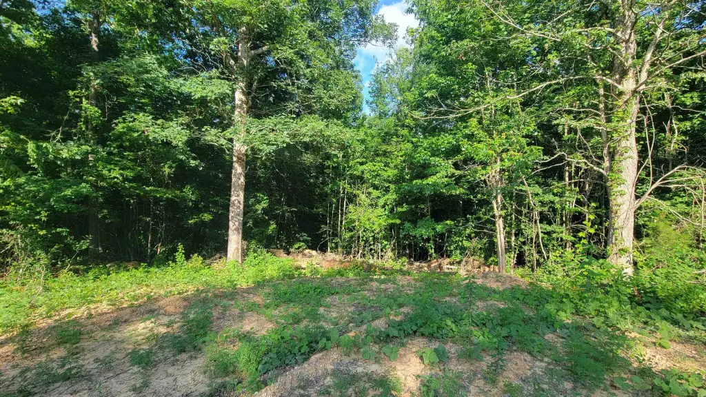 Picture 3