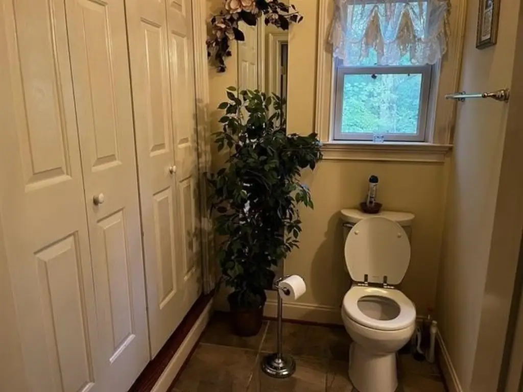 Picture 15