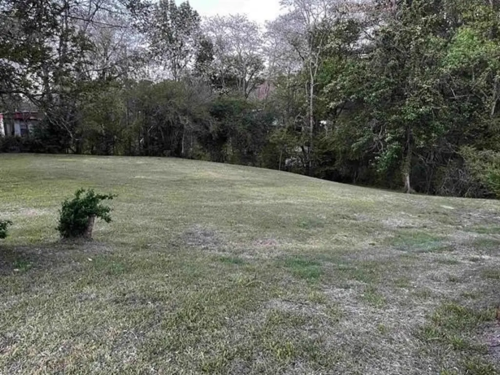 Picture 21