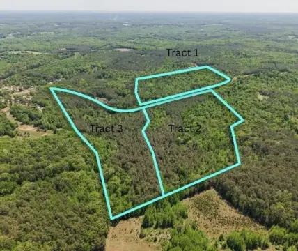Agricultural Land Tract with Mature Timber
