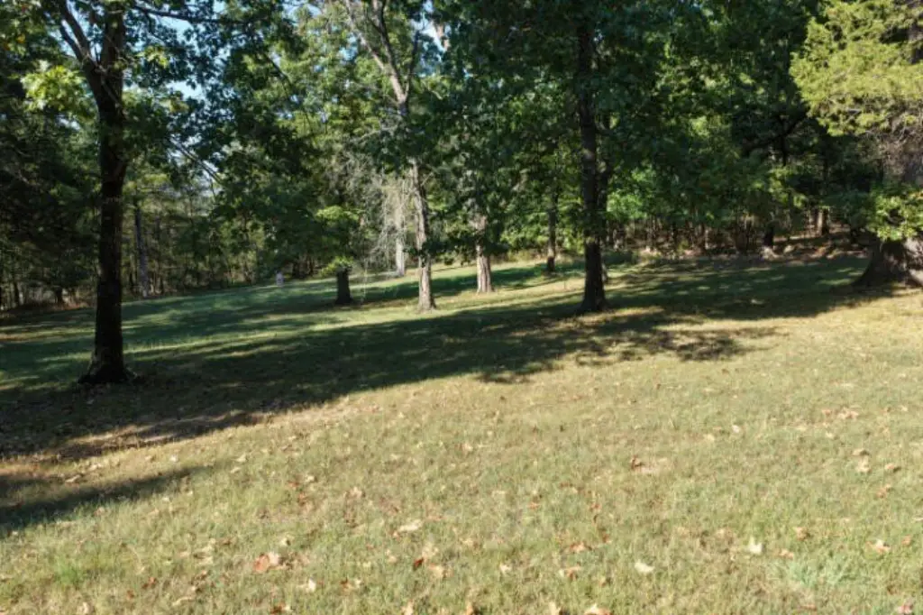 Picture 27