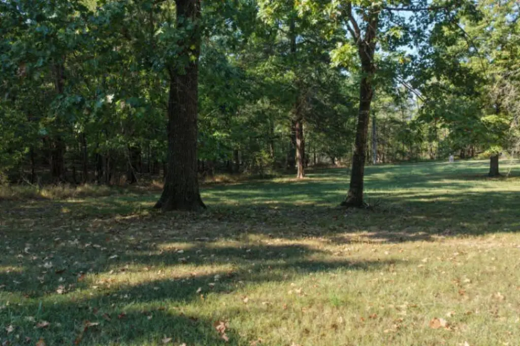Picture 26
