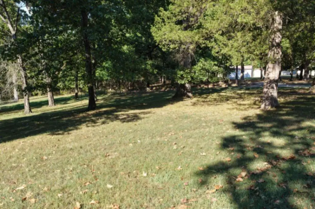 Picture 28