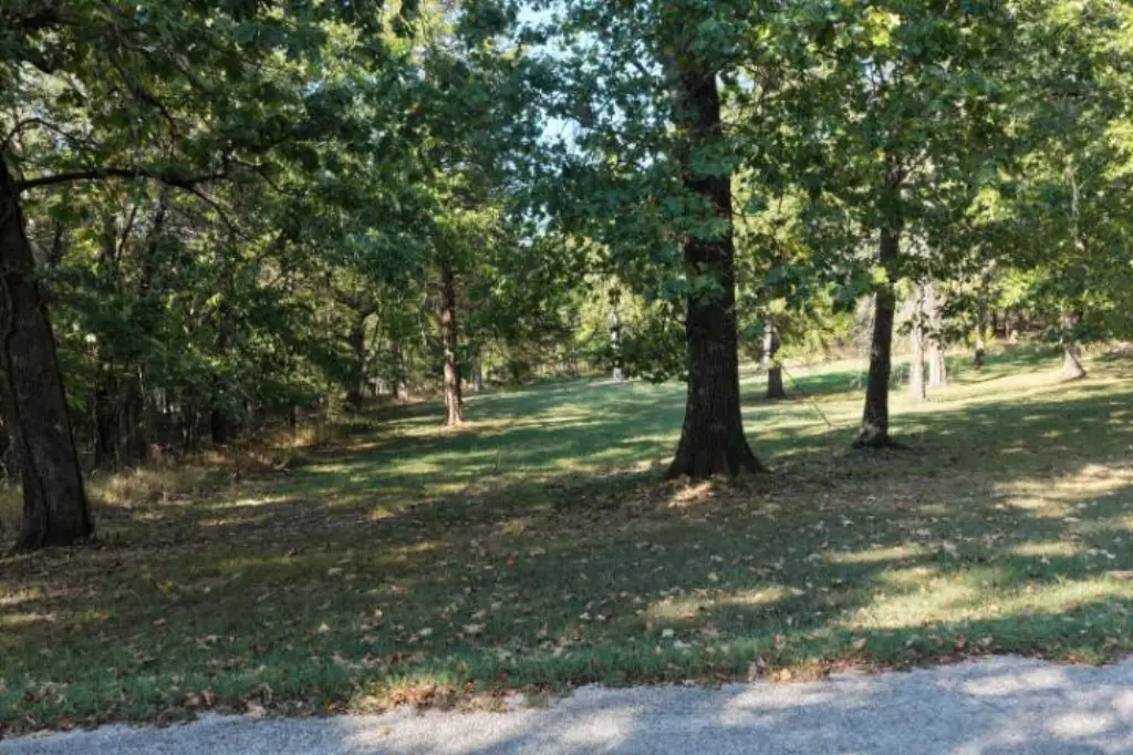 Picture 25