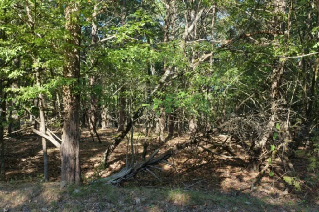Picture 19