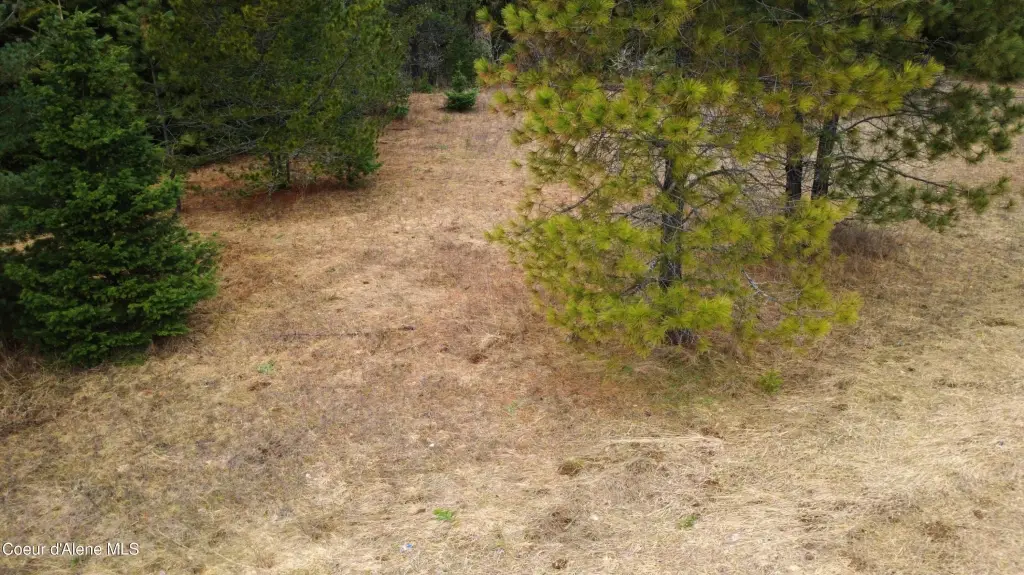 Picture 48