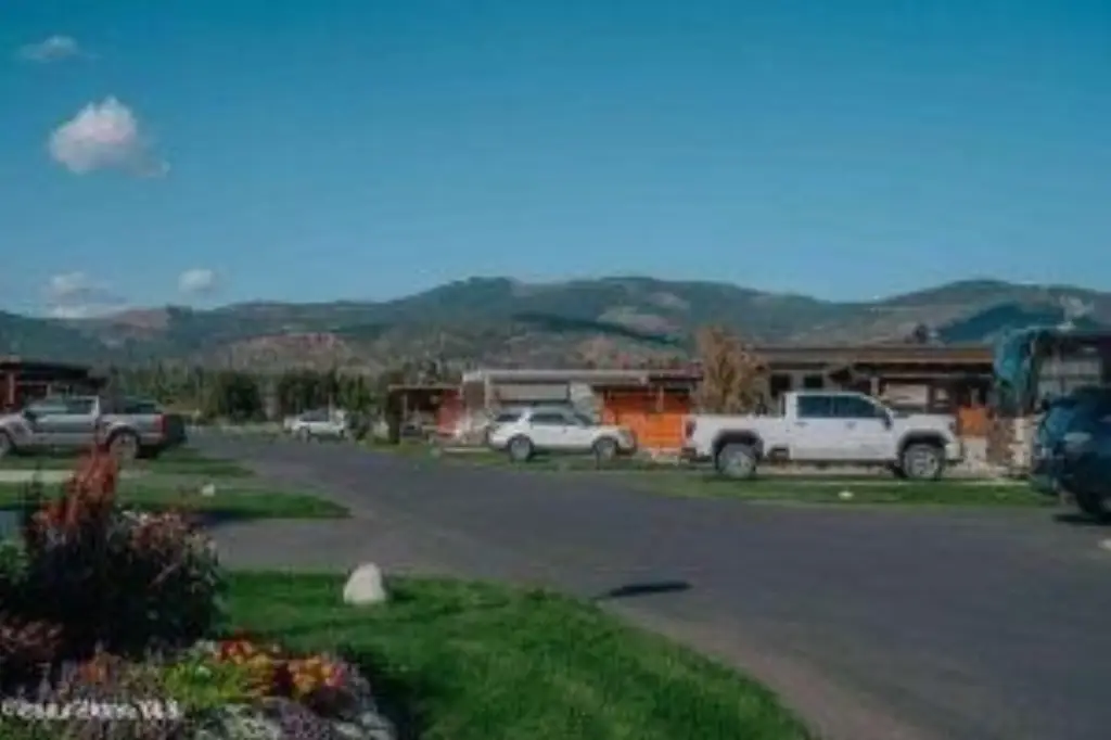 Picture 12