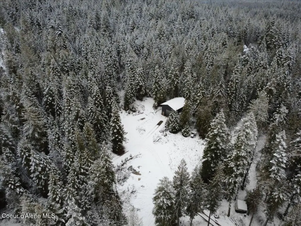 Picture 3
