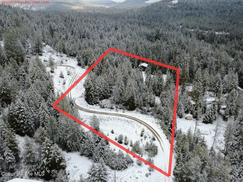 Picture 10