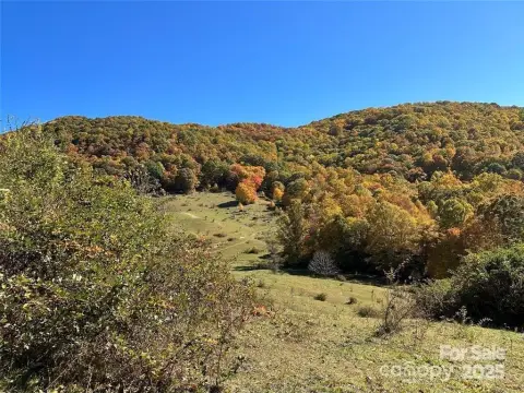 Clyde, NC Land with Views