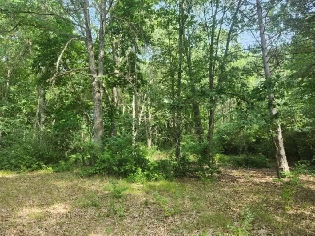 Picture 3