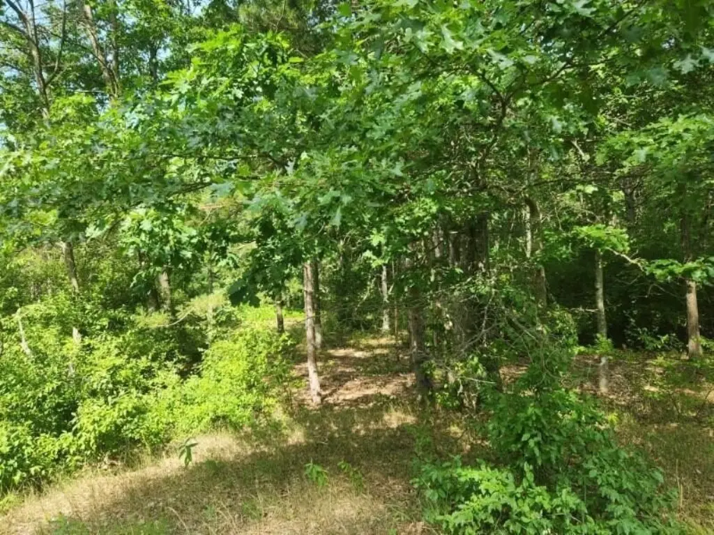 Picture 7