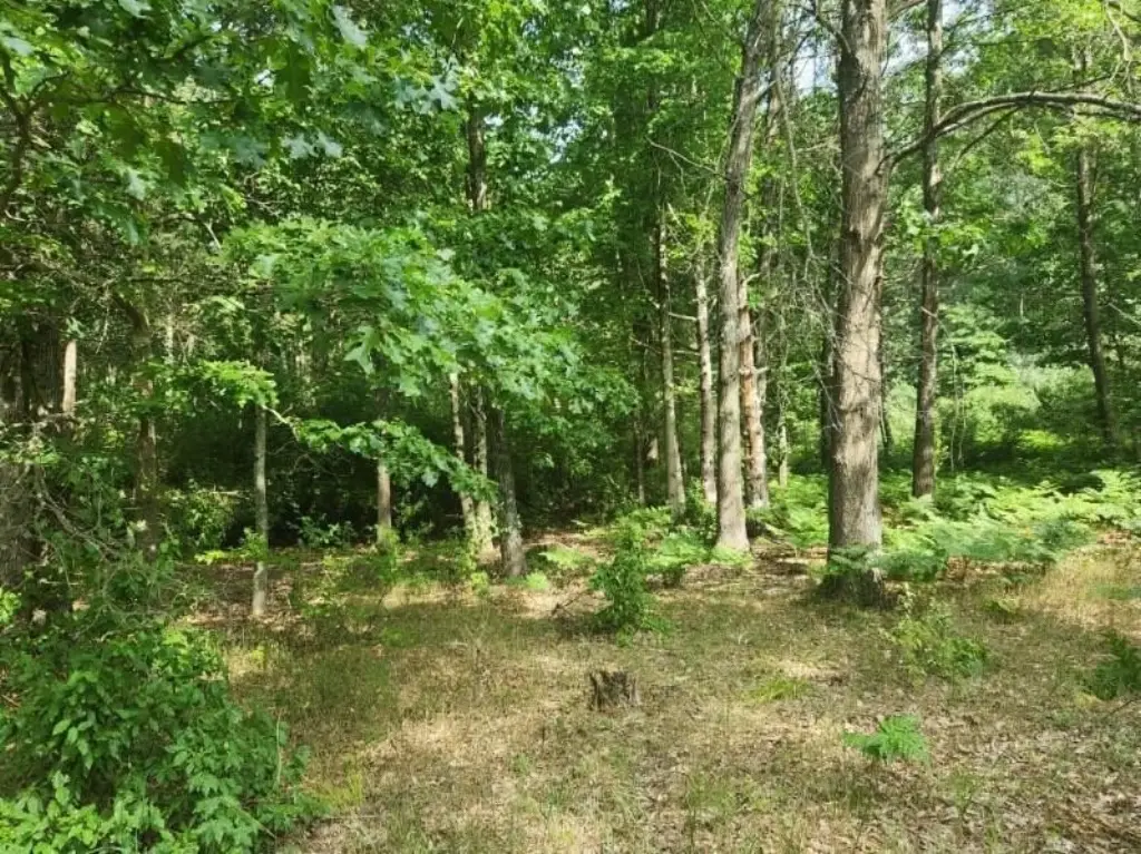 Picture 8